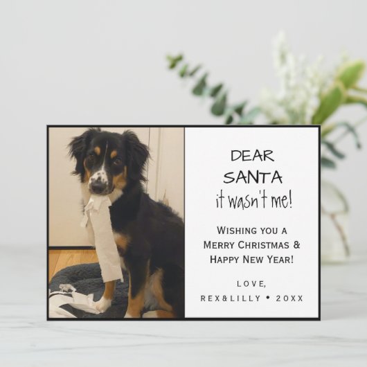 白おもしろいと黒のペットの足跡 シーズンカード (スタンド正面)