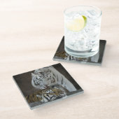 白およびブラウンのトラの休息 ガラスコースター (アングル)