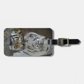 白およびブラウンのトラの休息 ラゲッジタグ (正面横)