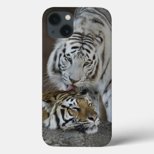 白およびブラウンのトラの休息 iPhone 13ケース