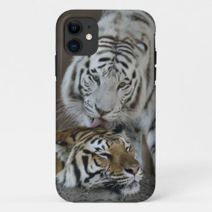 白およびブラウンのトラの休息 iPhone 11 ケース
