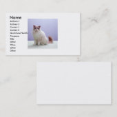 白およびブラウン猫の名刺 名刺 (正面/裏面)