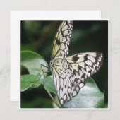 白および黒によって飛ぶ蝶招待状 招待状 (正面/裏面)