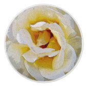 白から黄色の色合い セラミックノブ (正面)