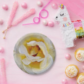 白から黄色の色合い ペーパープレート (パーティー)