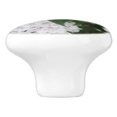 白かわいらしい山月桂樹 セラミックノブ (側面)