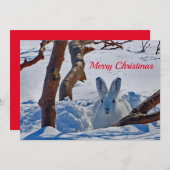 白かわいらしうさぎ雪写真クリスマスフラット シーズンカード (正面/裏面)