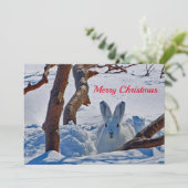 白かわいらしうさぎ雪写真クリスマスフラット シーズンカード (スタンド正面)