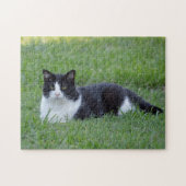 白かわいらしと黒のタキシード猫の写真 ジグソーパズル (横)