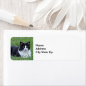 白かわいらしと黒のタキシード猫の写真 ラベル (インサイチュ)