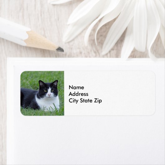 白かわいらしと黒のタキシード猫の写真 ラベル (インサイチュ)