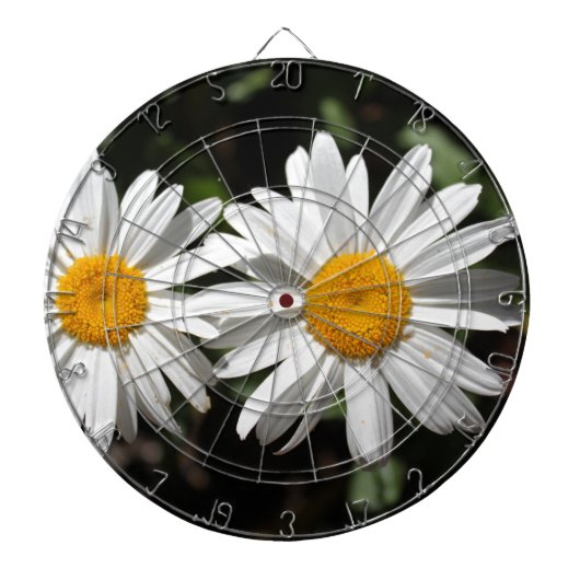 白かわいらしデイジーの花 ダーツボード (正面)