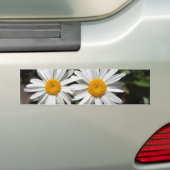 白かわいらしデイジーの花 バンパーステッカー (車上)