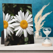 白かわいらしデイジーの花 フォトプラーク (側面)