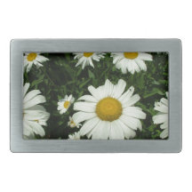 白かわいらしデイジーの花。