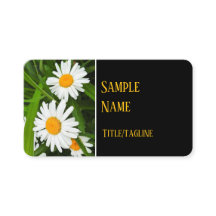 白かわいらしデイジー花自然写真