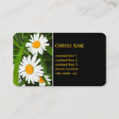 白かわいらしデイジー花自然写真 名刺 (裏面)