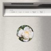 白かわいらしバラの花。フローラ写真芸術。 マグネット (インサイチュ (食洗機))