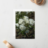 白かわいらしバラ ノートカード (正面/裏面インサイチュ)