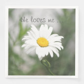 白かわいらし咲きデイジー (正面)