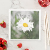 白かわいらし咲きデイジー (インサイチュ)