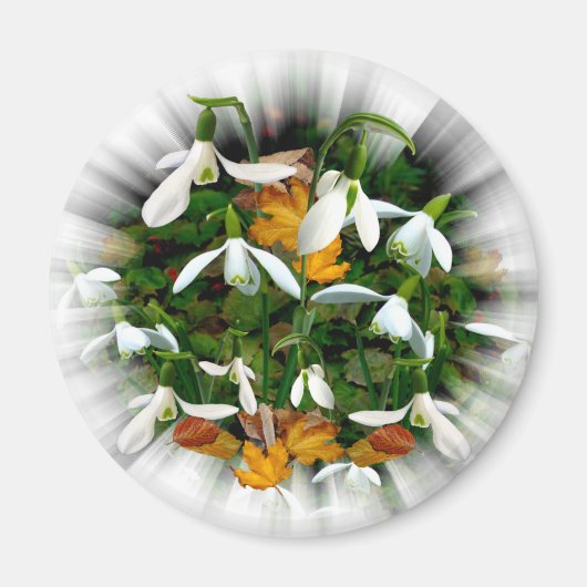 白かわいらし春 マグネット (正面)