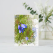 白かわいらし色のブルーベル ポストカード (スタンド正面)