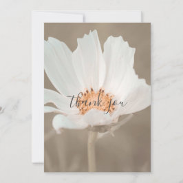 白かわいらし花平サンキューカード サンキューカード