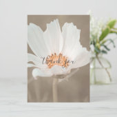 白かわいらし花平サンキューカード サンキューカード (スタンド正面)