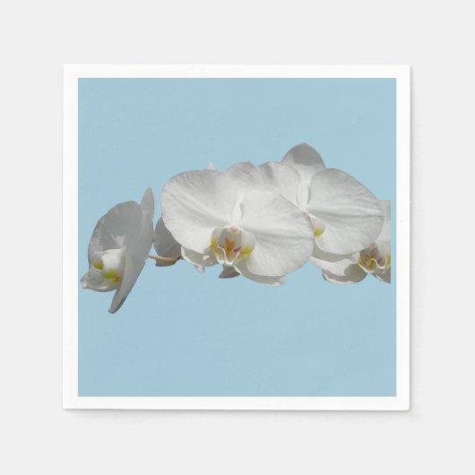 白かわいらし蘭オンライトブルー スタンダードカクテルナプキン (正面)