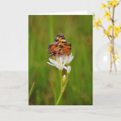 白かわいらし野花の蝶 カード (黄色い花)