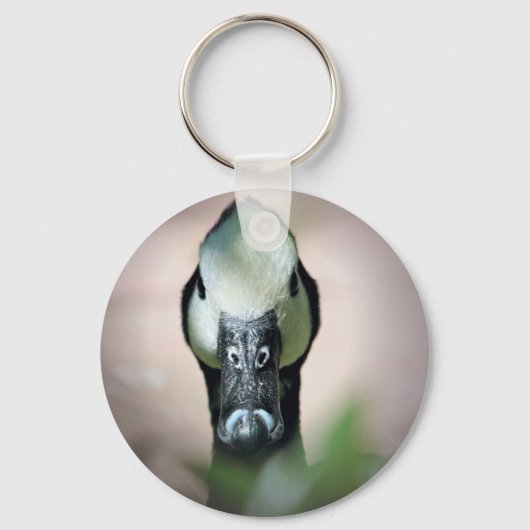 白かわいらし顔と黒くちばしを持つアヒル キーホルダー (正面)