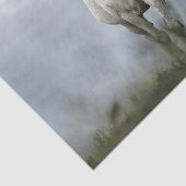 白かわいらし馬の雲写真 薄葉紙 (詳細)