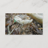 白きのこのコーディネートアイテム名刺 名刺 (裏面)