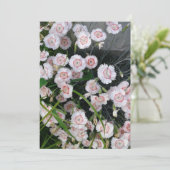 白くおよび赤いカーネーション カード (スタンド正面)