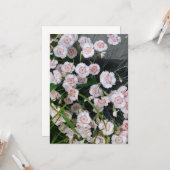 白くおよび赤いカーネーション カード (正面/裏面インサイチュ)