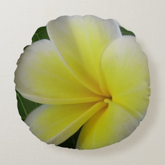 白くおよび黄色のFrangipaniの花 ラウンドクッション (正面)