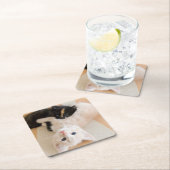 白くおよび黒い子ネコ スクエアペーパーコースター (インサイチュ)