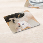 白くおよび黒い子ネコ スクエアペーパーコースター (アングル)