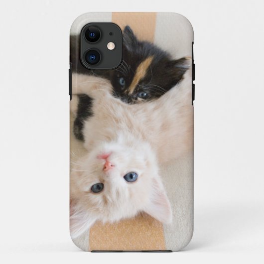白くおよび黒い子ネコ Case-Mate iPhoneケース (裏面)