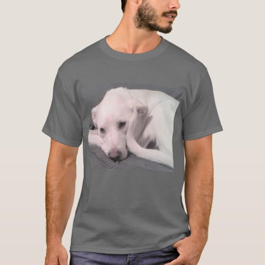 白くて丸い尾のグレーのかわいい犬の写真 Tシャツ (正面)