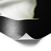 白くて純粋なカラユリ：花の解剖学 フォトプリント            (角)