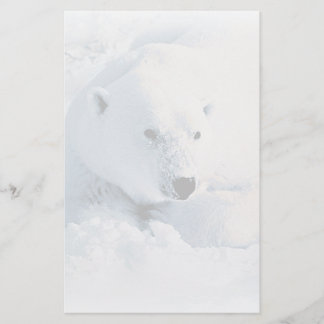 白くまおよび雪の文房具 便箋