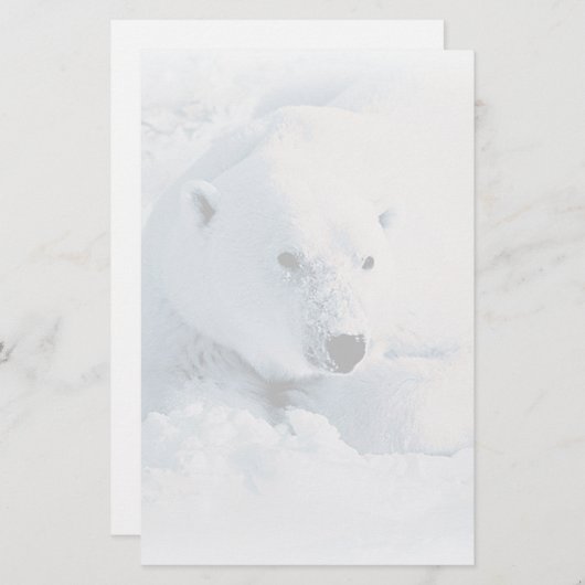 白くまおよび雪の文房具 便箋 (正面/裏面)