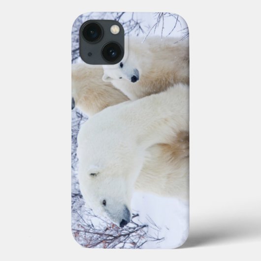 白くまおよび2匹の幼いこども Case-Mate iPhoneケース (裏面)