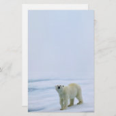 白くまの文房具 便箋 (正面/裏面)