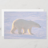 白くまの曉 便箋 (正面/裏面)