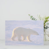 白くまの曉 便箋 (スタンド正面)