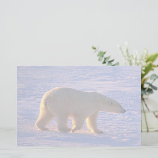 白くまの曉 便箋 (スタンド正面)