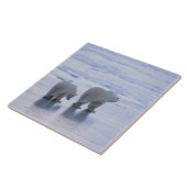 白くまの母およびカブス タイル (側面)